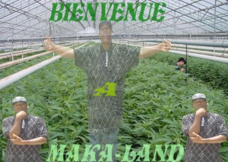 ben c laurent